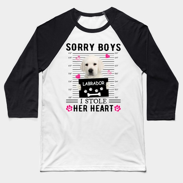 White Labrador Sorry Boys I Stole Her Heart Valentine Baseball T-Shirt by PlumleelaurineArt